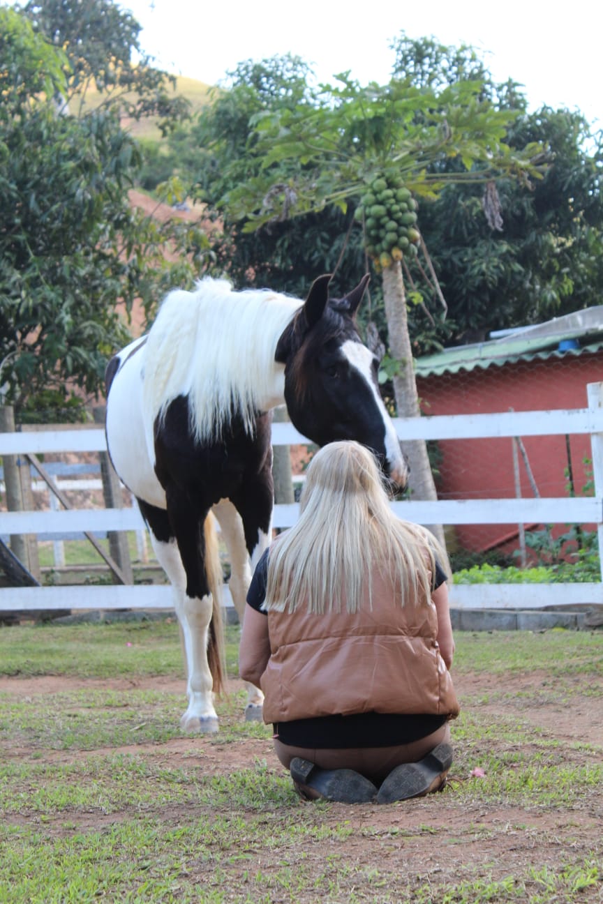 Aproximação tranquila entre uma pessoa e seu cavalo