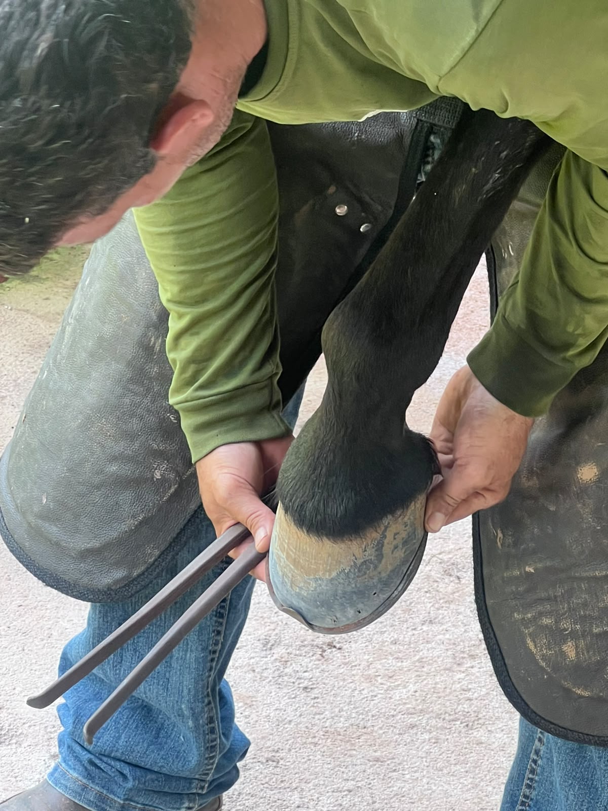 Ajuste da ferradura para garantir proteção e equilíbrio ao casco
